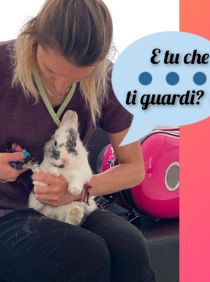 Progetto senza titolo